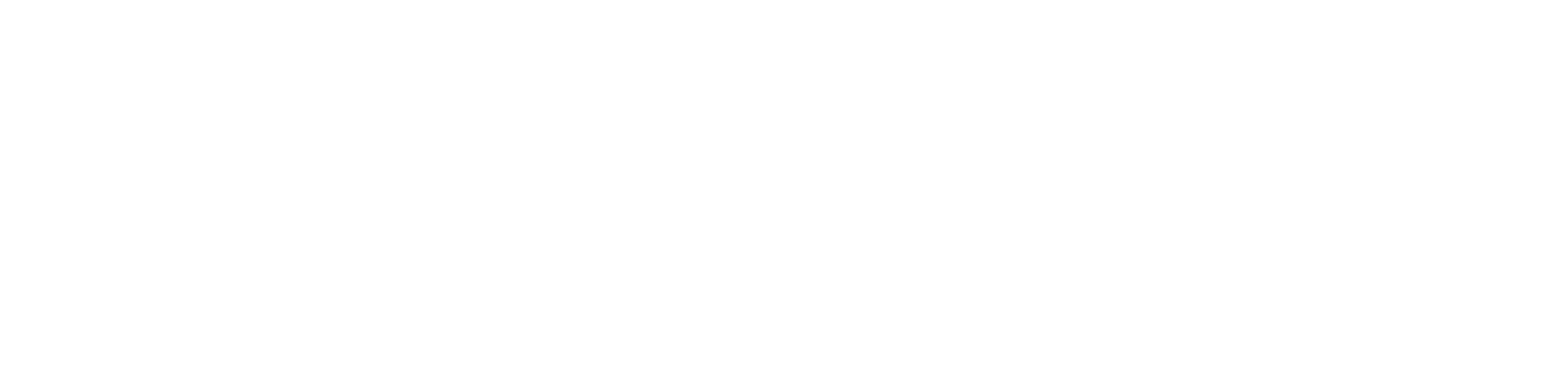 SNGLL Logo